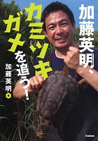 加藤英明(かとう ひであき)、カミツキガメを追う！