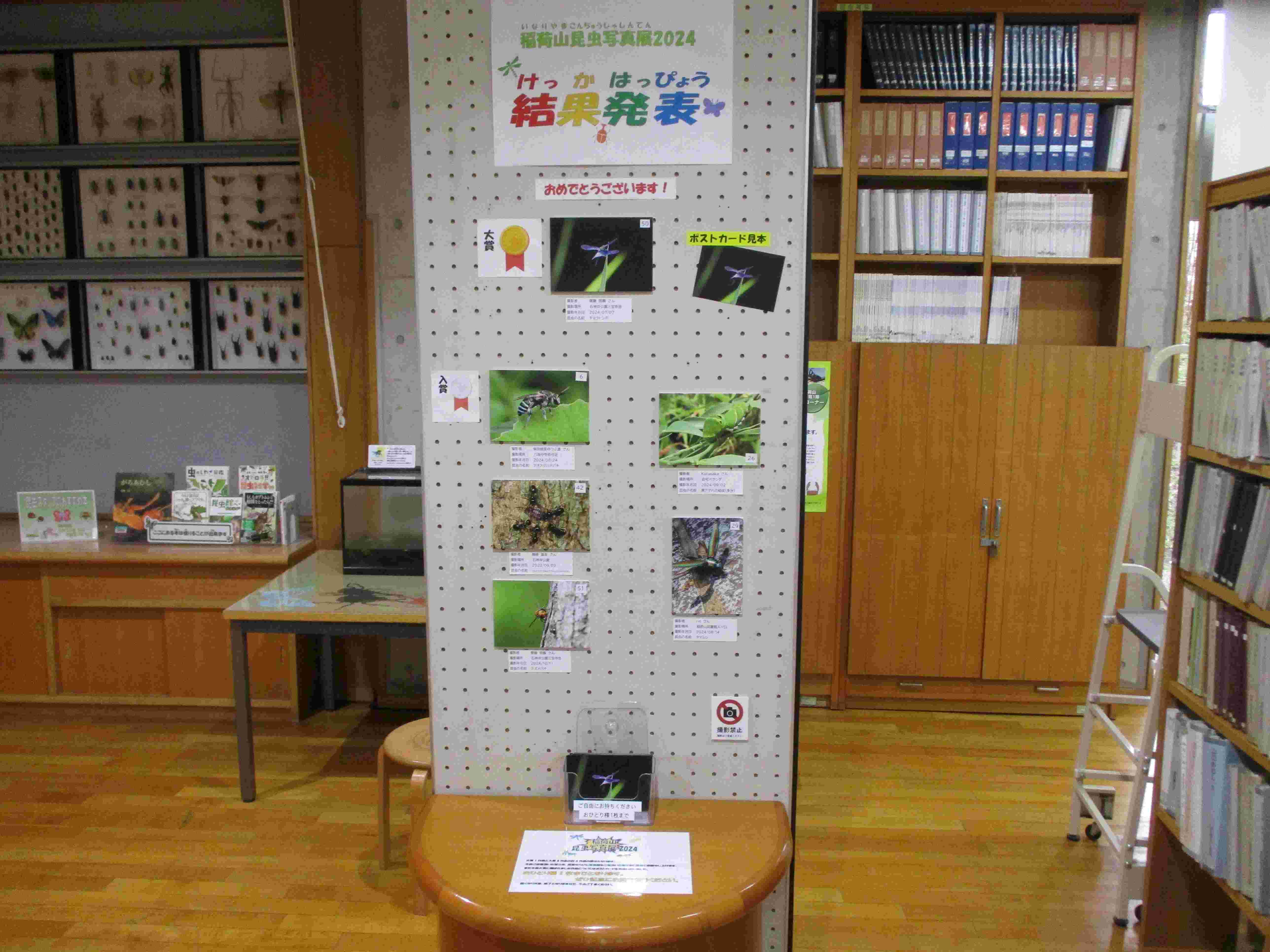 稲荷山昆虫写真展写真3