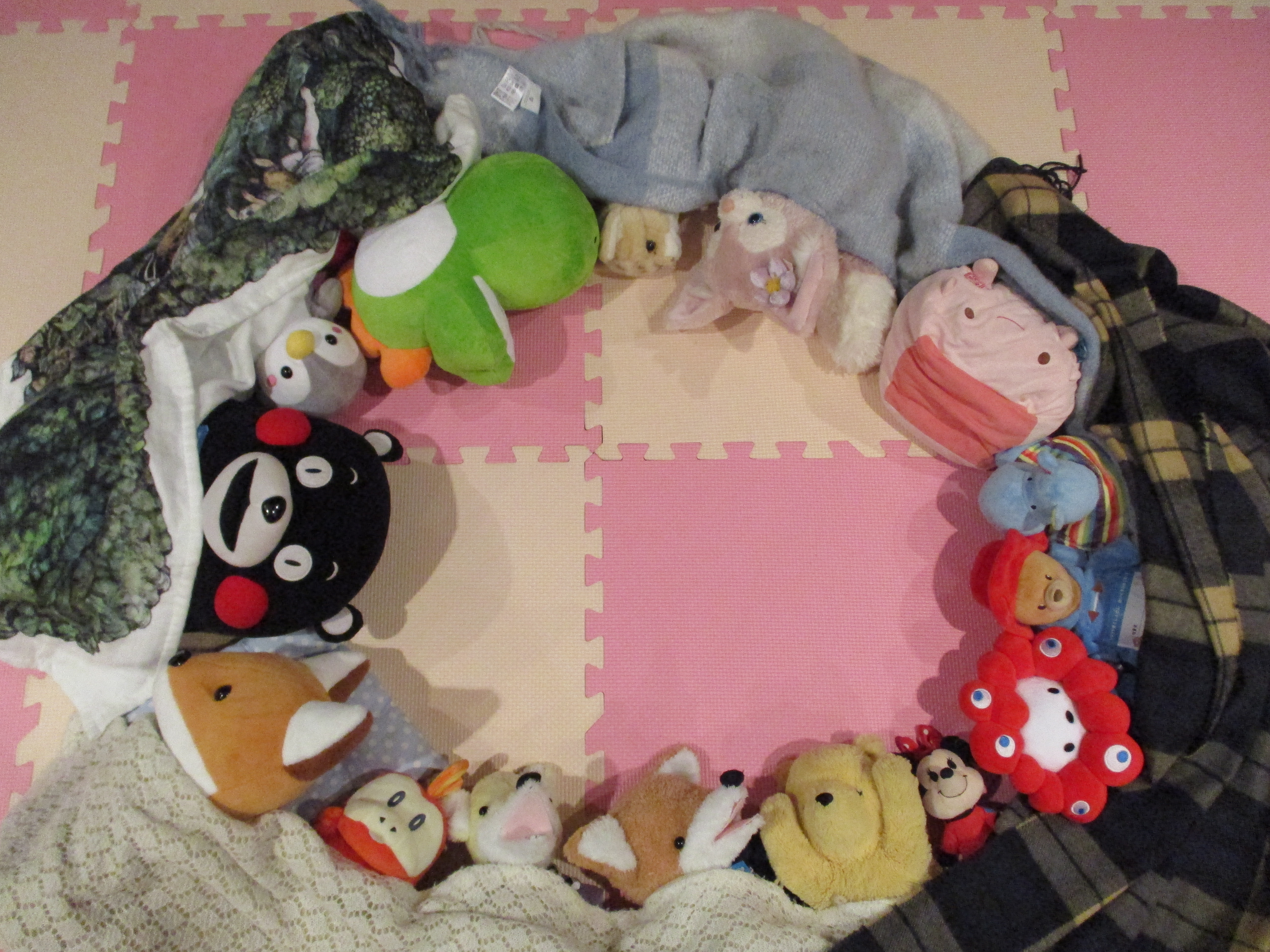 ぬいぐるみおとまり会のようす2 ぬいぐるみおとまり会のようす2