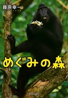 めぐみの森
