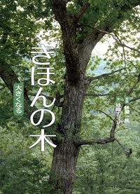 きほんの木 ～大きくなる～