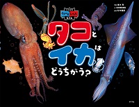 タコとイカはどうちがう？ーいきものくらべるしゃしんえほんー