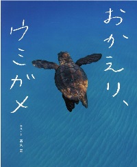 おかえり、ウミガメ