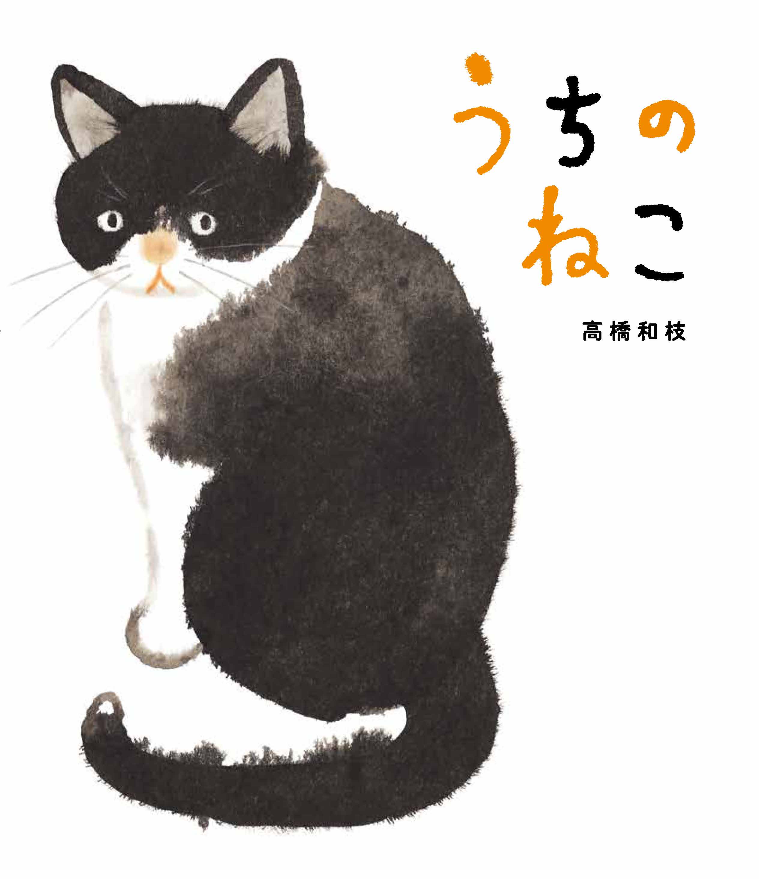 うちのねこ