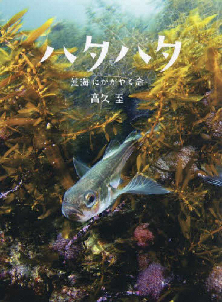 ハタハタ ―荒海(あらうみ)にかがやく命― ハタハタ ―荒海(あらうみ)にかがやく命―