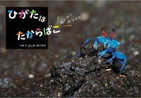 ひがたはたからばこ  ー青いカニみつけたー