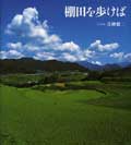 棚田を歩けば