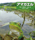 アマガエル
