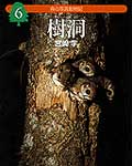 森の写真動物記  6  樹洞