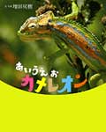 あいうえおカメレオン