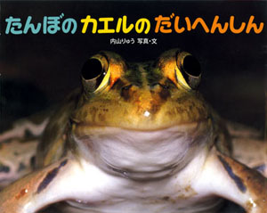 たんぼのカエルのだいへんしん