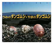 うみのダンゴムシ・やまのダンゴムシ