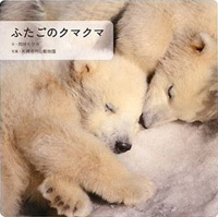 ふたごのクマクマ