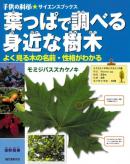 葉っぱで調べる身近な樹木-よく見る木の名前・性格がわかる-