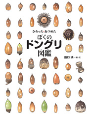 ひろった・あつめた  ぼくのドングリ図鑑（ずかん）