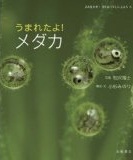 うまれたよ！  メダカ