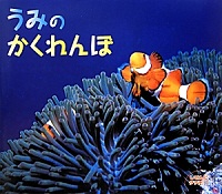 うみの かくれんぼ