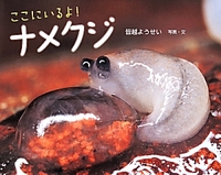 ここにいるよ!ナメクジ