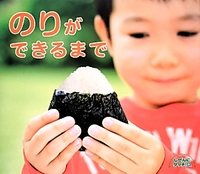 のりができるまで