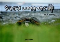 ウミガメ いのちをつなぐ岬