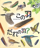 この羽だれの羽?