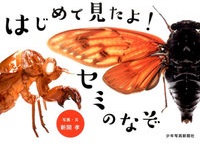 はじめて見たよ!セミのなぞ