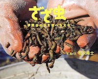 ざざ虫 ~伊那谷(いなだに)の虫を食べる文化~