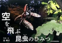 空を飛ぶ昆虫(こんちゅう)のひみつ