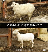 このあいだに なにがあった?