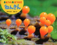 もりの  ほうせき  ねんきん