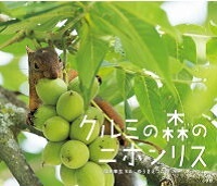クルミの森のニホンリス