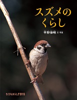 スズメのくらし スズメのくらし