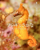 フシギなさかな ーヒメタツのひみつー フシギなさかな ーヒメタツのひみつー