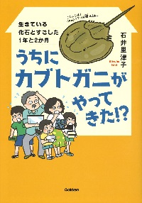 うちにカブトガニがやってきた!?  ―生きている化石とすごした1年と2か月―