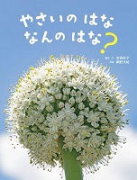 やさいのはな なんのはな？