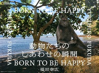 動物たちのしあわせの瞬間