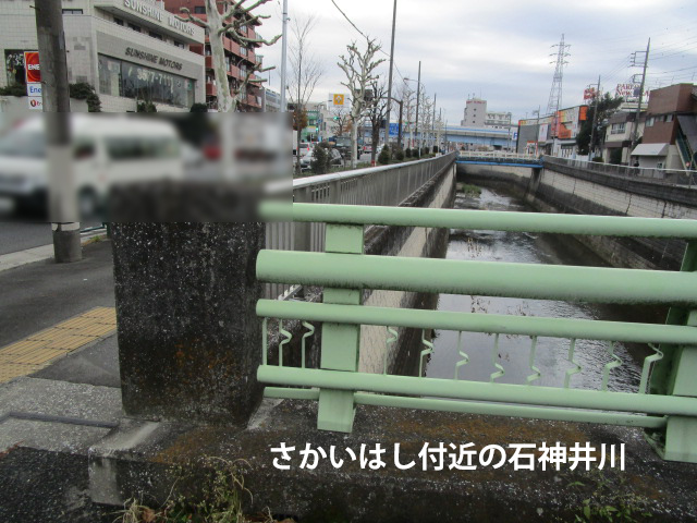 さかいはし付近の石神井川の写真