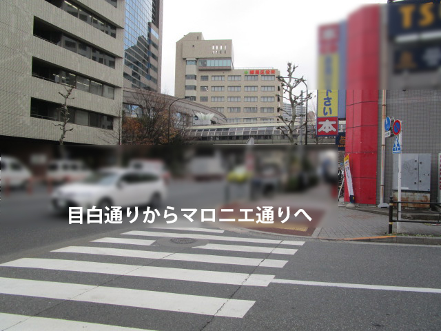 目白通りからマロニエ通りへの写真