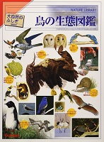 鳥の生態図鑑
