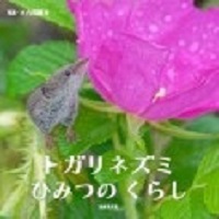 トガリネズミひみつのくらし