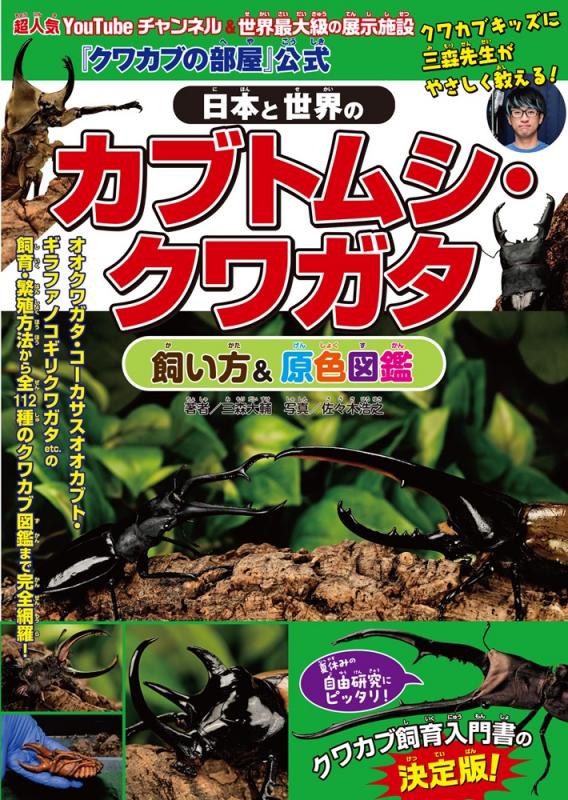 『クワカブの部屋』公式 日本と世界のカブトムシ・クワガタ飼い方&原色図鑑