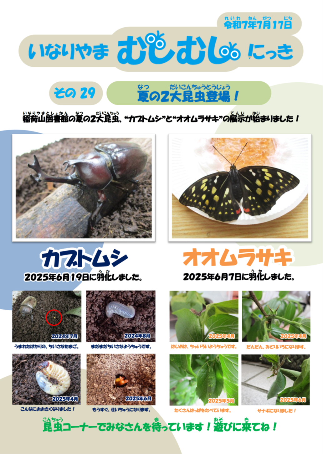 その29 (1)