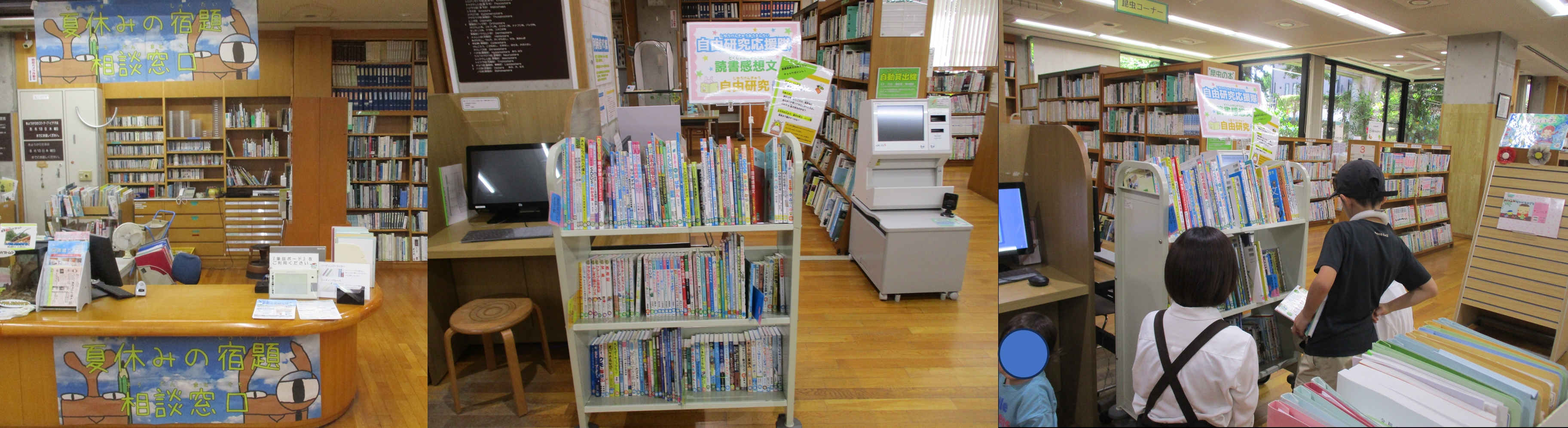 夏休み自由研究写真