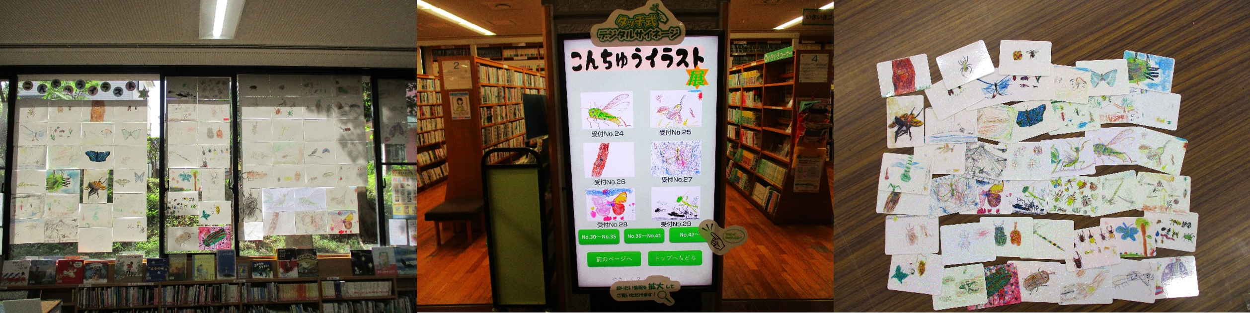 こんちゅうイラスト展CMS こんちゅうイラスト展CMS