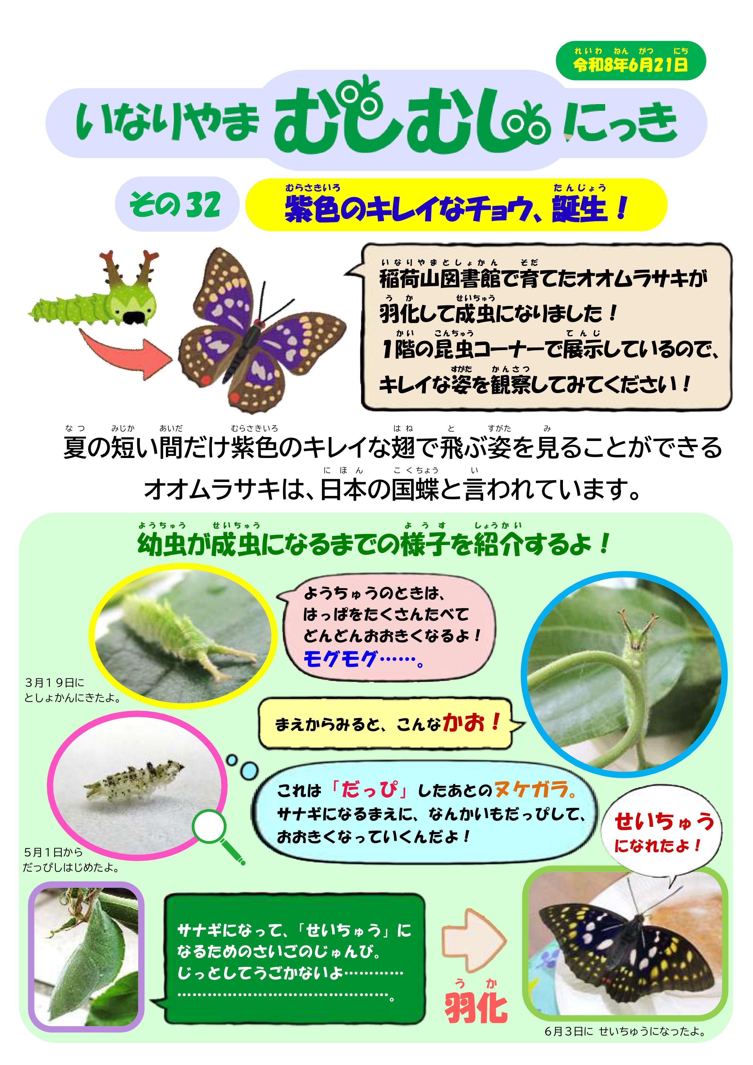 いなりやまむしむしにっき いなりやまむしむしにっき