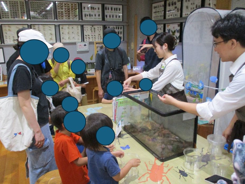 カブトムシえさやり体験の様子1 カブトムシえさやり体験の様子1