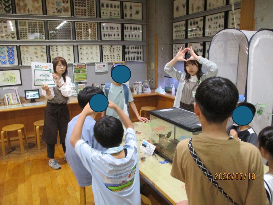 カブトムシえさやり体験の様子2 カブトムシえさやり体験の様子2