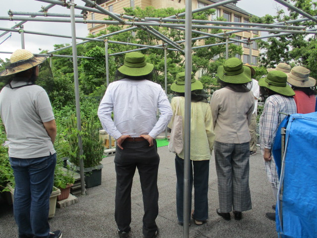 ミツバチ園見学の様子1