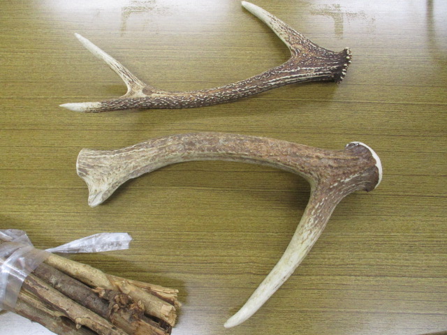 会場の様子2 会場の様子2