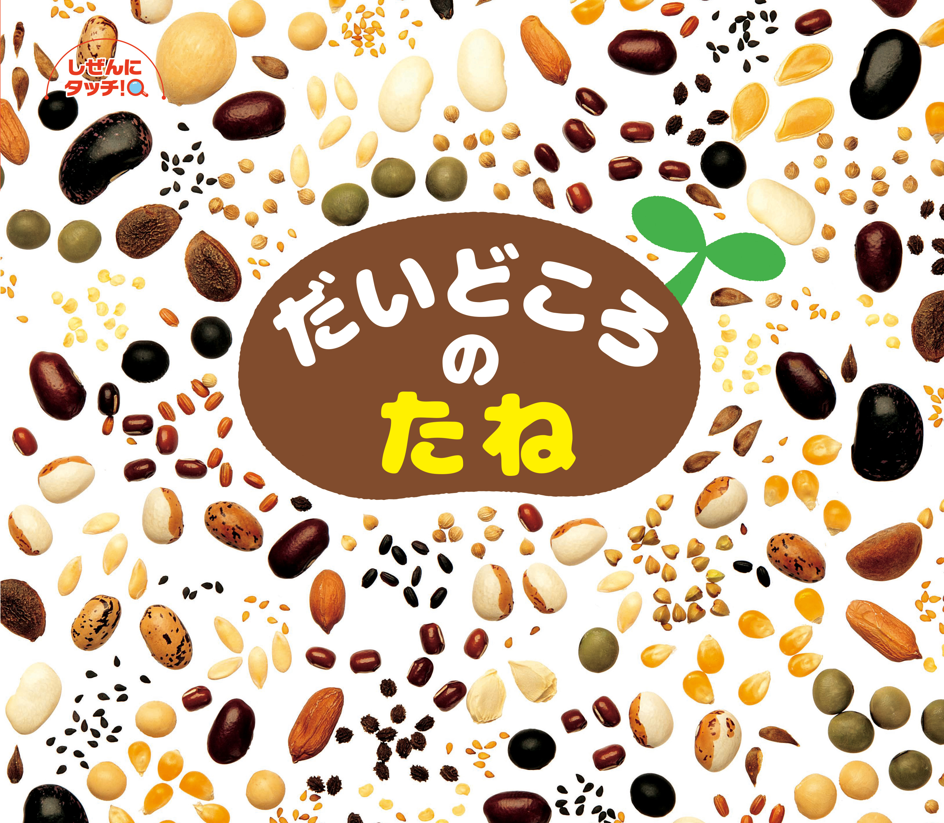 だいどころのたね だいどころのたね